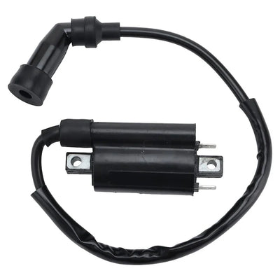 Bobina inductie Linhai, 260/300/400cc